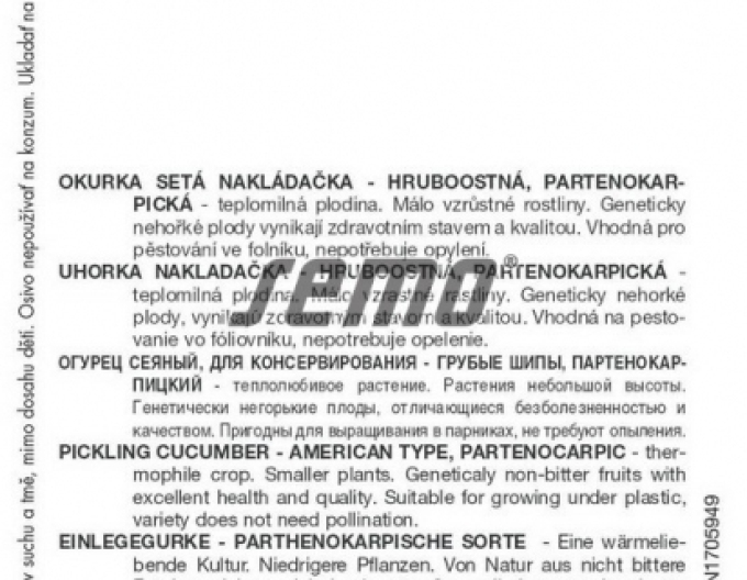 Semințe de castravete Dafne F1´