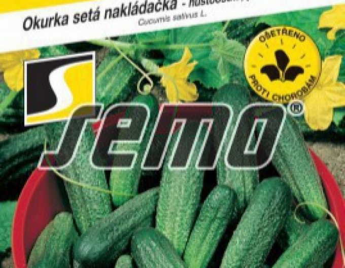 Semințe Semințe de castravete ´Sonada F1´