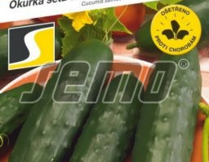 Semințe Marlen F1´ Marlen F1´ castraveți semănați