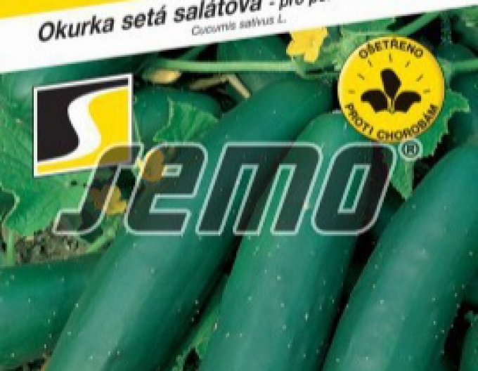 Semințe Castravete Lili F1´
