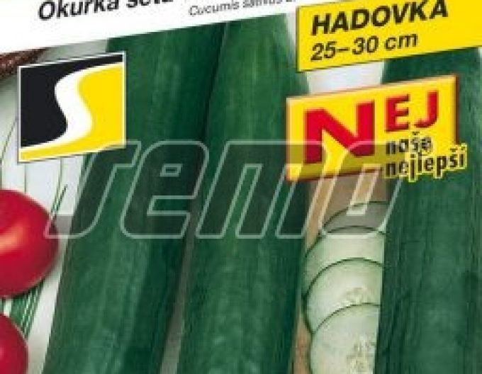 Semințe Castravete semănat salată ´Superstar F1´