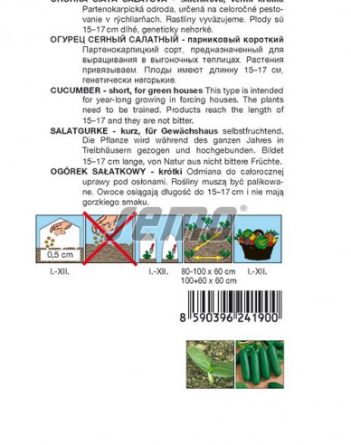 Semo Castravete cultivat pentru salată ´Baby F1´