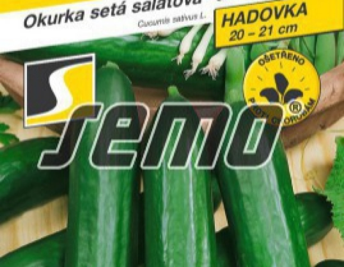 Semo Castravete cultivat pentru salată ´Emilie F1´