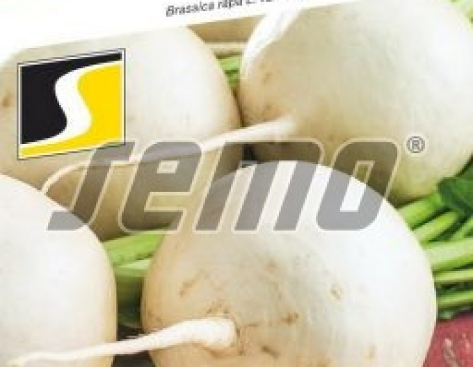 Seed Vodnica ´Andy F1´
