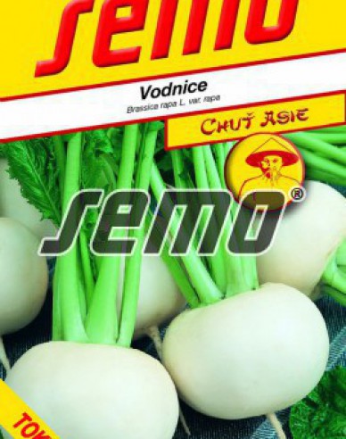 Semo Semințe de napi comestibil ´Tokyo Cross F1´