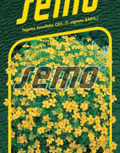 Semo Semințe de Tagetes  Yellow