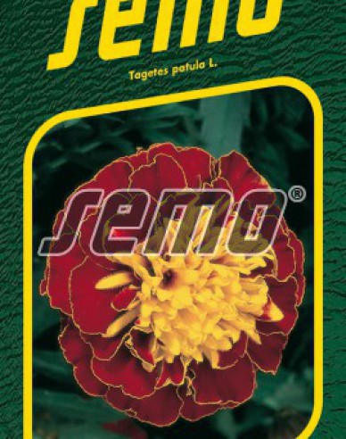 Semo Semințe de Tagetes  Harmony Boy