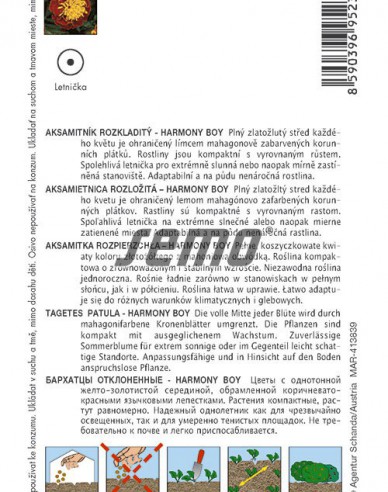 Semo Semințe de Tagetes  Harmony Boy