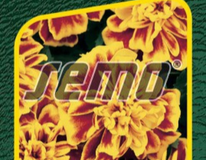 Semo Aksamietnica Bonanza Bee