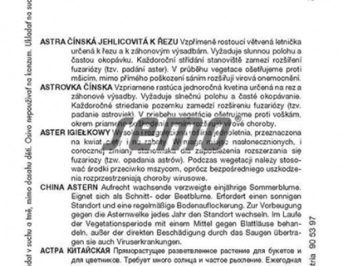 Semințe Aster chinezesc Red