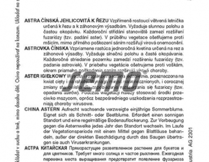 Semințe de aster chinezesc "Blue