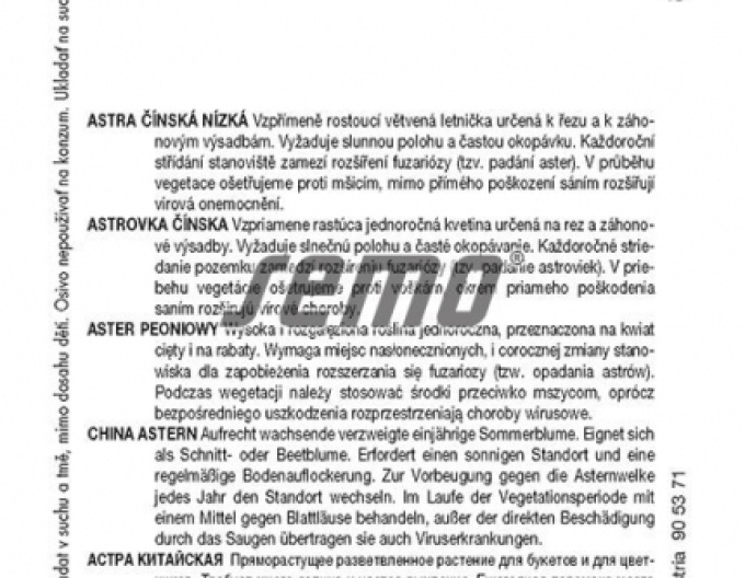 Semințe de aster chinezesc "Pivoine