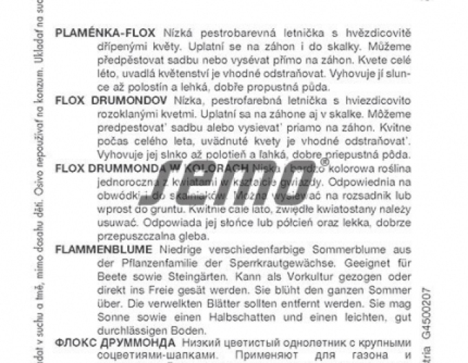 Semo Flox drummonds ´Beauty´