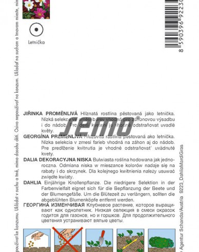 Semo semințe de dalii ´Mardi Gras´