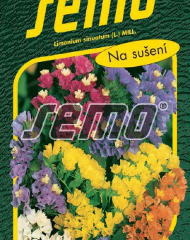 Semo semințe de Limonium - amestec pentru uscare