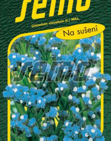 Semo semințe de Limonium ´Blue´