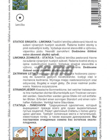 Semo semințe de Limonium ´Blue´