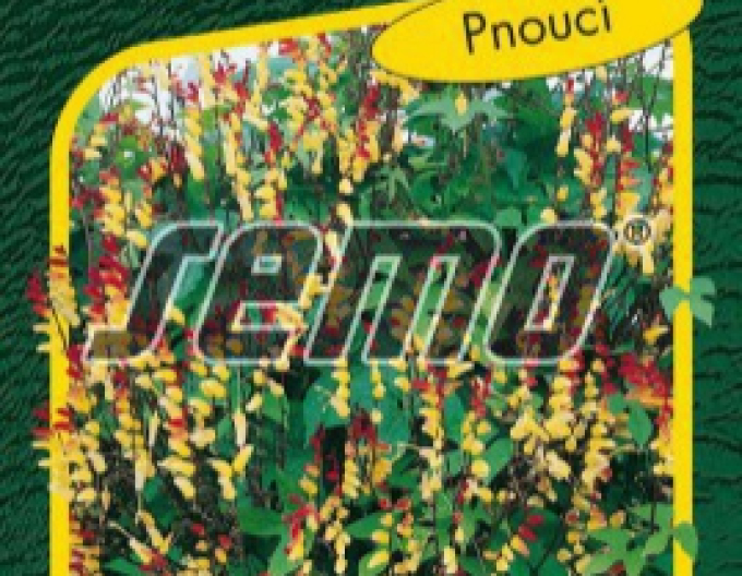 Semo Mina extensibil