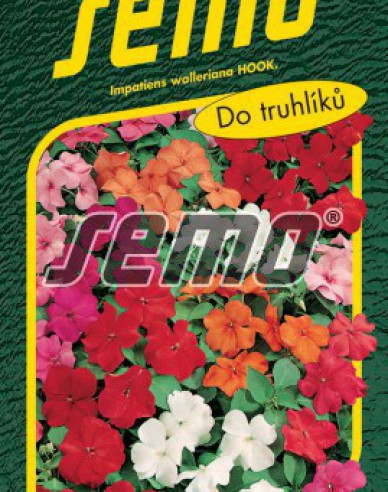 Semo semințe de Impatiens sultana ´Mix´