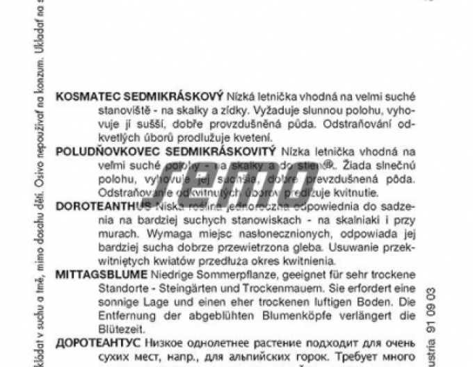 Semințe de margaretă Păpădie Mixture