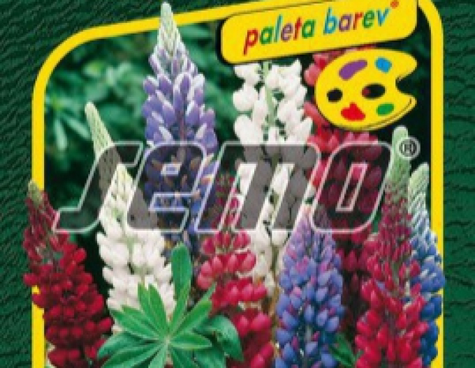 Semințe Lupina multiflora ´Mix de culori´