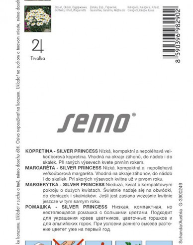 Semo margaretă ´Silver Princess´