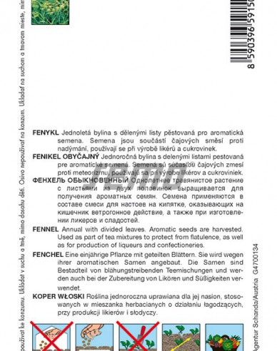 Semo semințe de fenicul