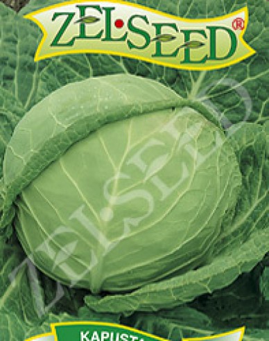 Zelseed Varza  ´Zora´