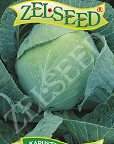 Zelseed Varză  ´Polar´