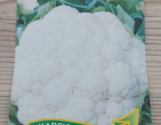 Conopidă Zelseed ´Snow Lady´