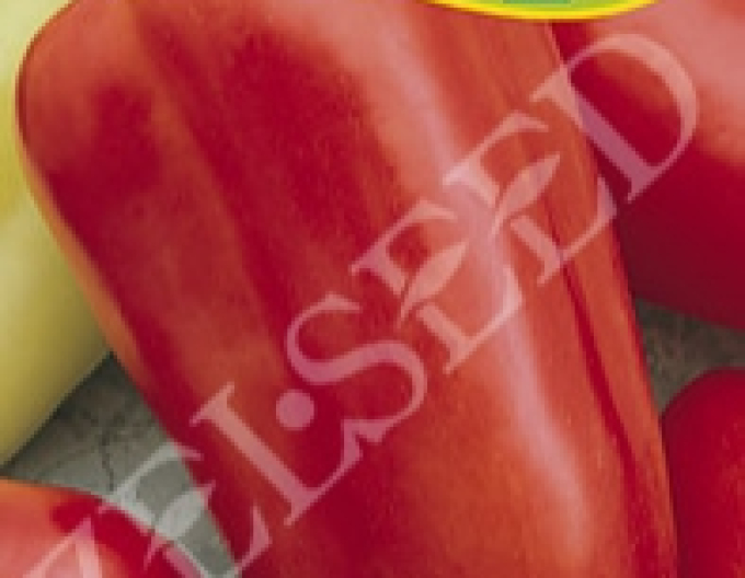 Zelseed Paprika anuală ´Blava´
