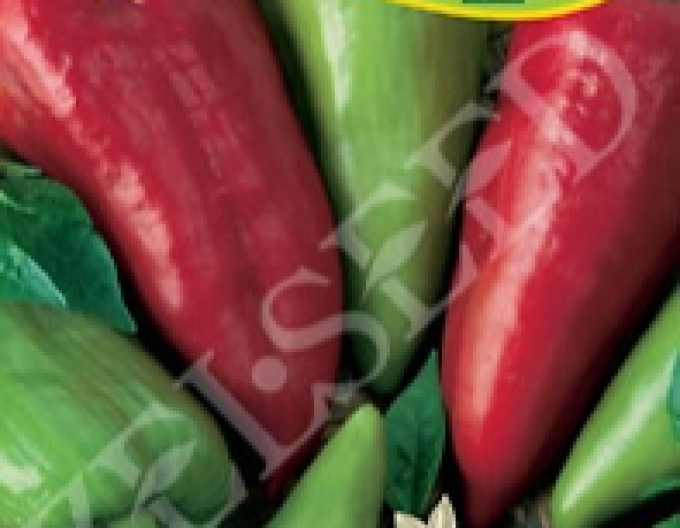 Zelseed Paprika anual ´Bojanka´