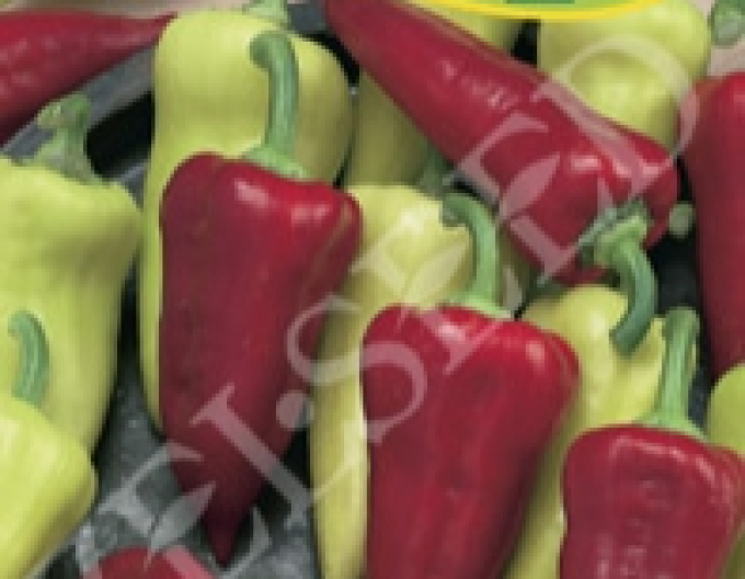 Zelseed Paprika anual Viki Zel