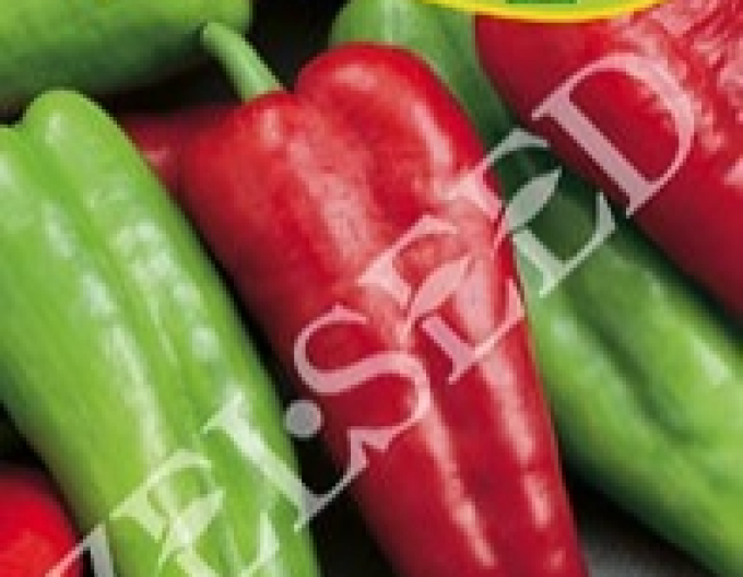 Zelseed Paprika anual ´Derma´
