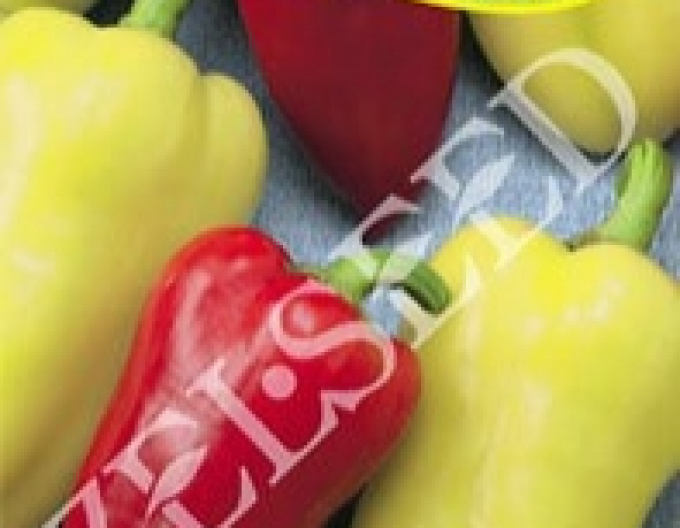 Zelseed Paprika anuală ´Tosinka´