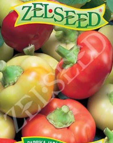Zelseed Ardei iute tip „Măr”´Ilika´