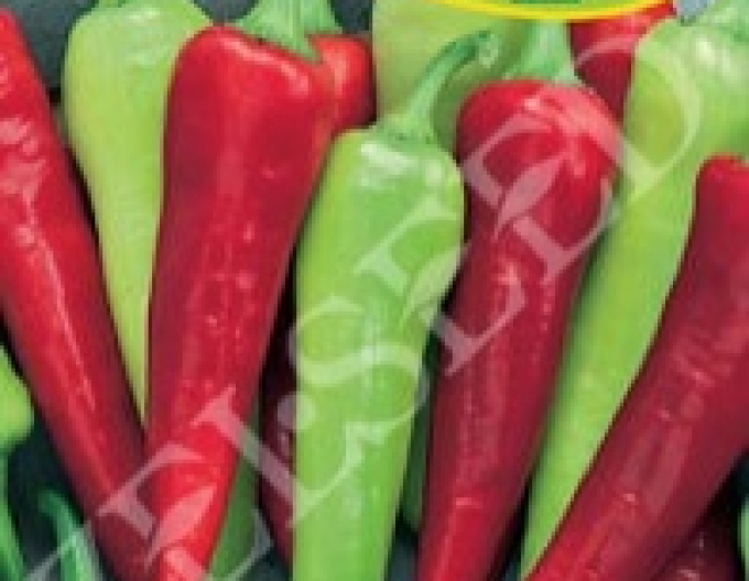 Zelseed Paprika corn de capră dulce ´Branko´