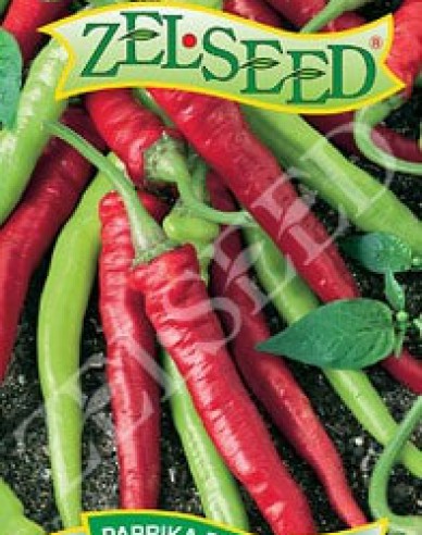 Zelseed Ardei iute „Corn de berbec” ´Barkol´