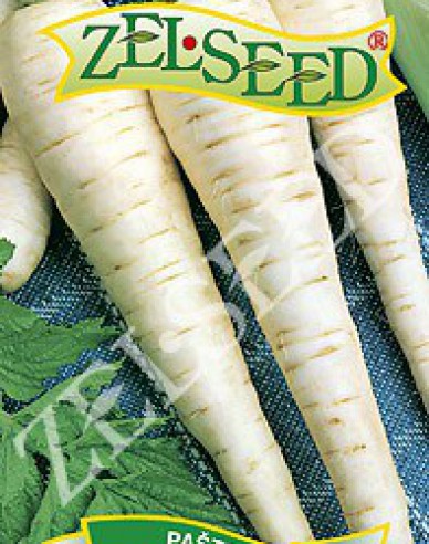 Zelseed Păstârnac ´Long White´