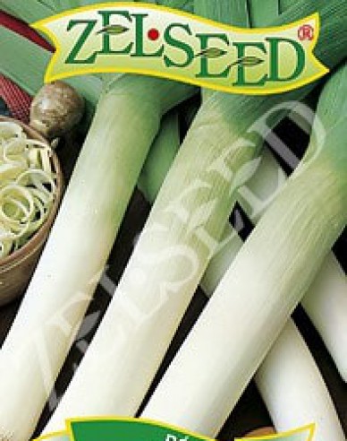 Zelseed Praz cultivat ´Starozagorski Kamuš´