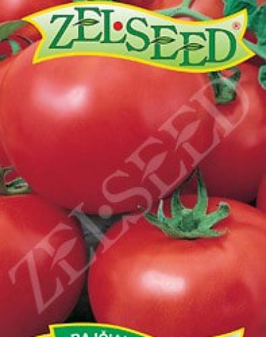 Zelseed Semințe de tomate pitice ´Tomanova´
