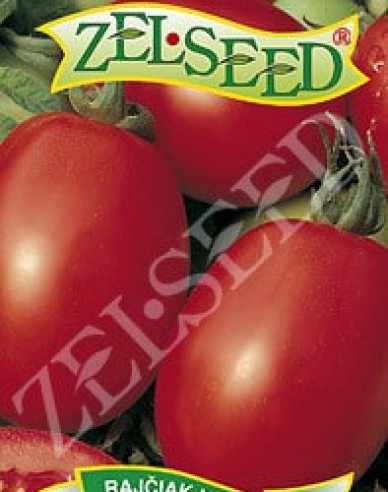 Zelseed Semințe de tomate pitice ´Salus´