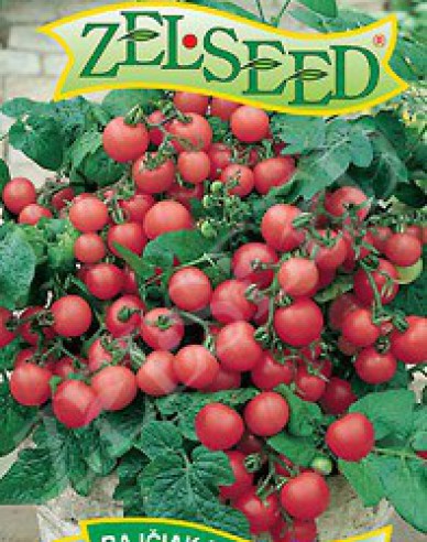 Zelseed Tomate de balcon Balkonzauber