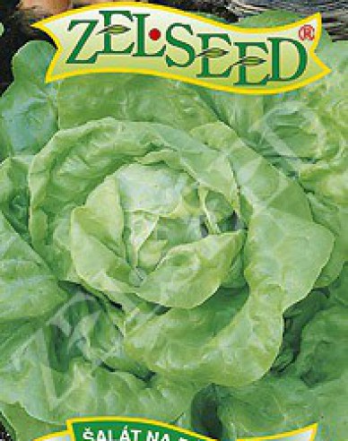 Zelseed Salată timpurie ´Liban´