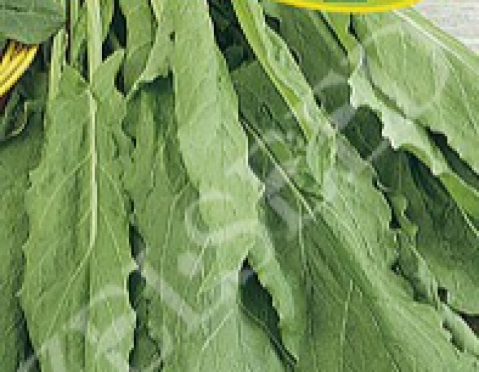 Zelseed Garden Straw pentru salate