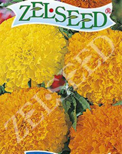 Zelseed Tagetes tall Mixture