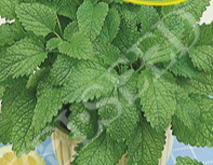 Zelseed Balsam de lămâie