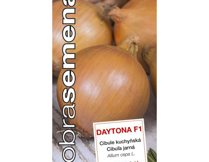 Good Seeds Ceapă de primăvară Daytona F1