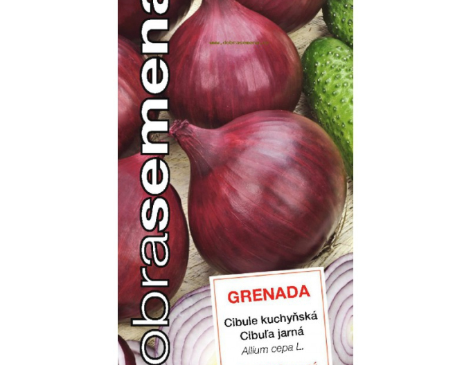 Good Seeds Ceapă de primăvară Grenada