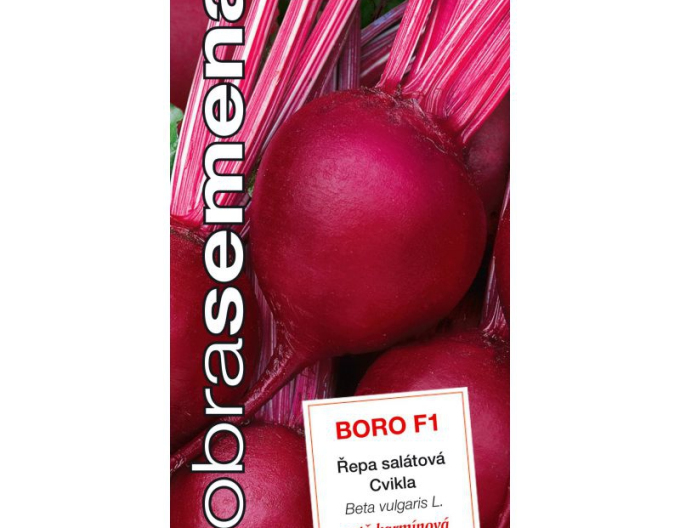 Semințe bune Sfeclă rotundă `Boro F1´